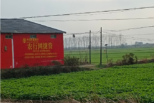 理县如何防止墙体广告褪色呢？