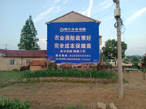 理县墙体广告为何受追捧？